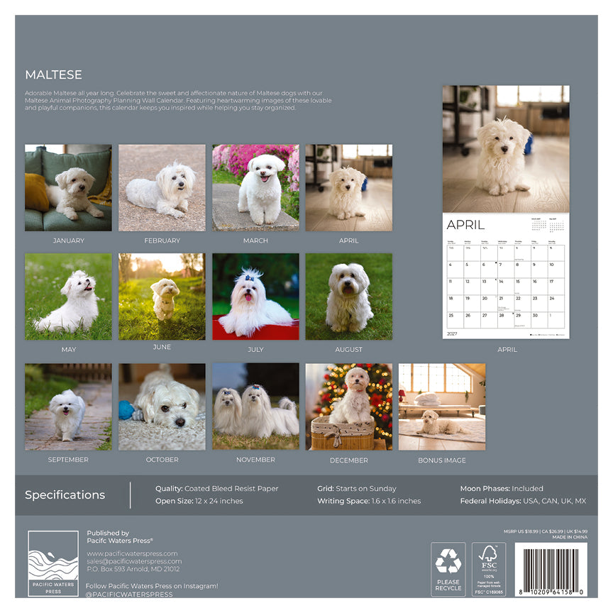 '27 Wall Calendar - Maltese