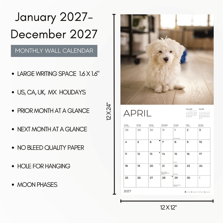 '27 Wall Calendar - Maltese