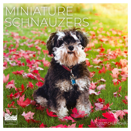 '27 Wall Calendar - Miniature Schnauzers