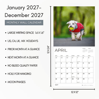 '27 Wall Calendar - Miniature Schnauzers