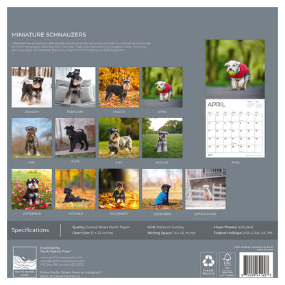 '27 Wall Calendar - Miniature Schnauzers