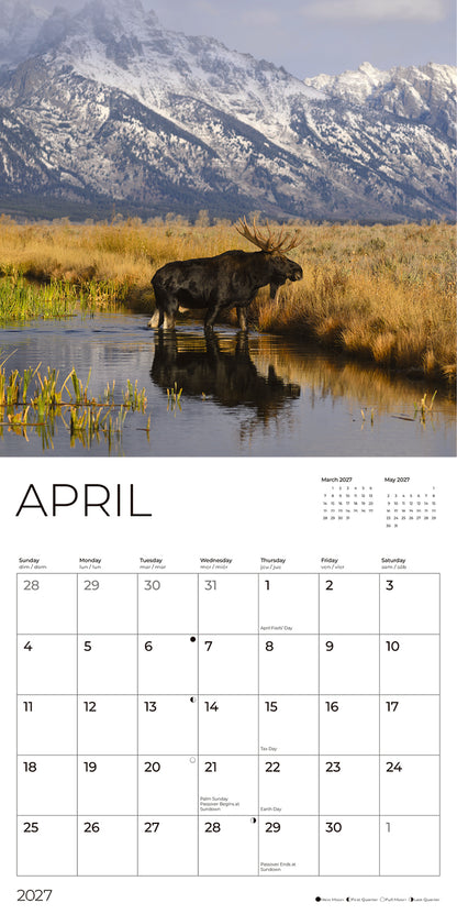 '27 Wall Calendar - Moose