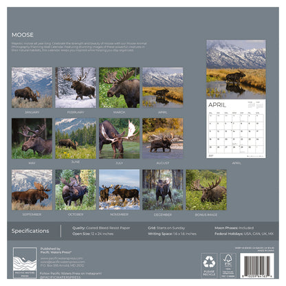 '27 Wall Calendar - Moose