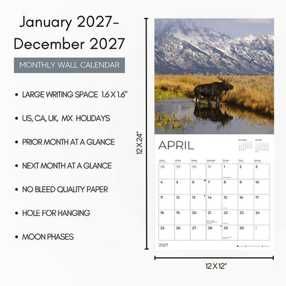 '27 Wall Calendar - Moose