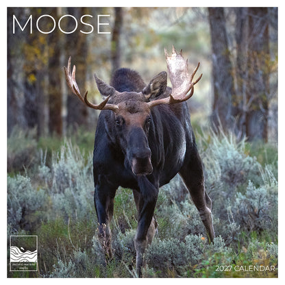 '27 Wall Calendar - Moose