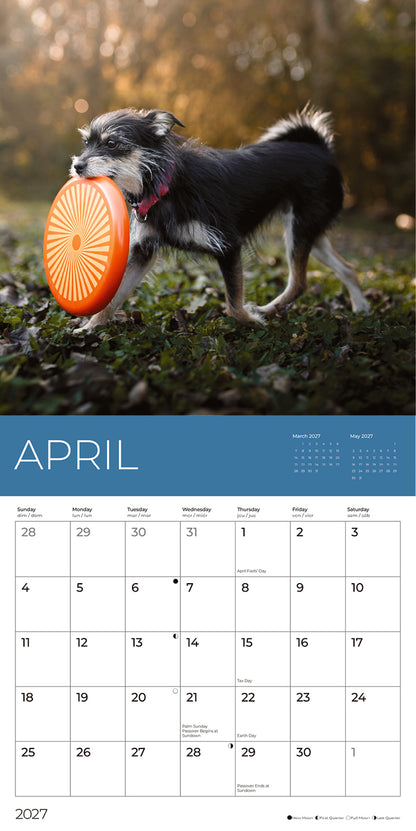 PFC: '27 Wall Calendar - Rescue Mutts - Gives Back!