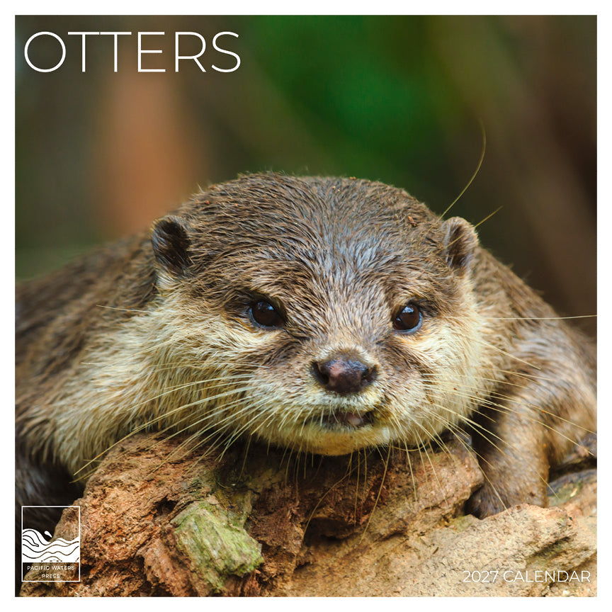 '27 Wall Calendar - Otters