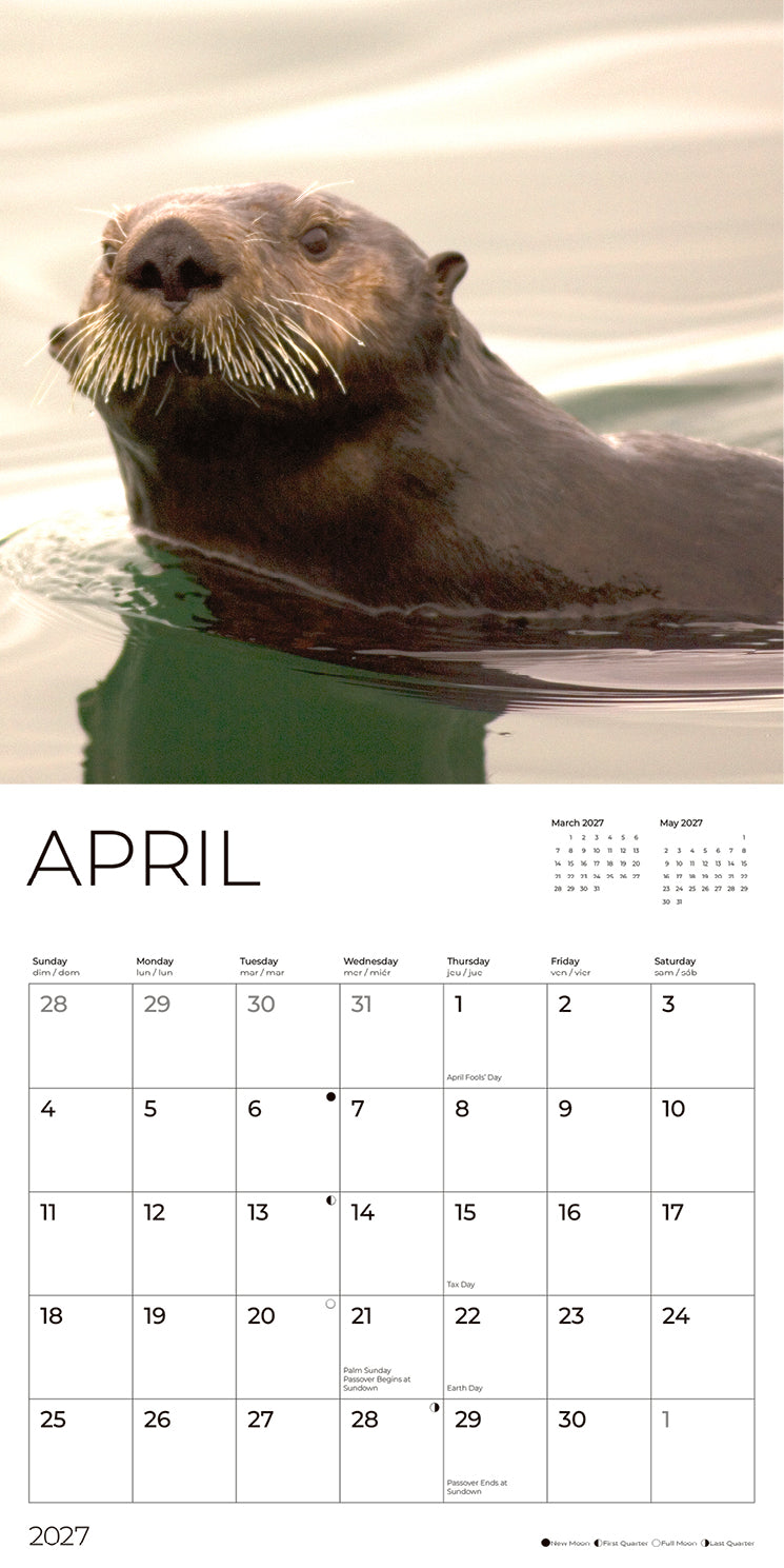'27 Wall Calendar - Otters