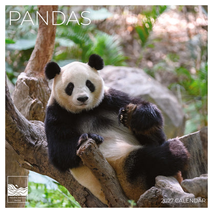 '27 Wall Calendar - Pandas