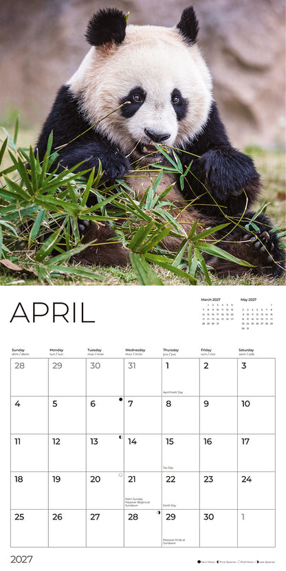 '27 Wall Calendar - Pandas