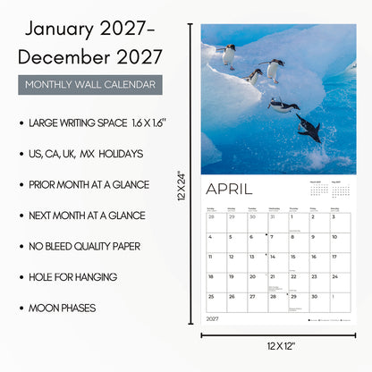 '27 Wall Calendar - Penguins