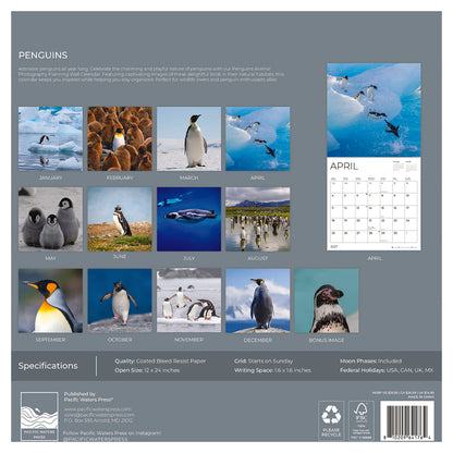 '27 Wall Calendar - Penguins