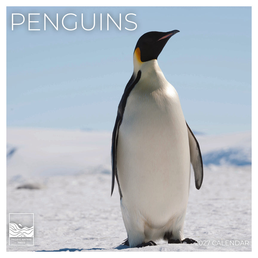 '27 Wall Calendar - Penguins