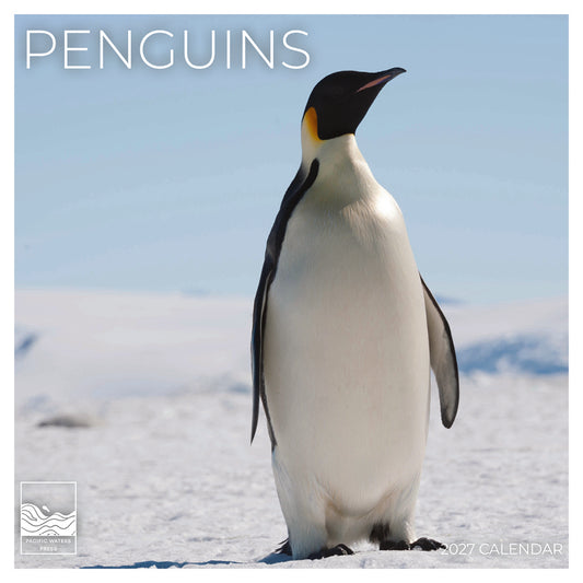 '27 Wall Calendar - Penguins