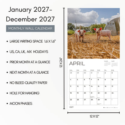 '27 Wall Calendar - Piglets