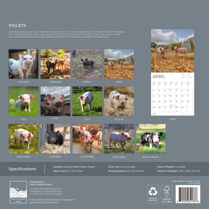 '27 Wall Calendar - Piglets