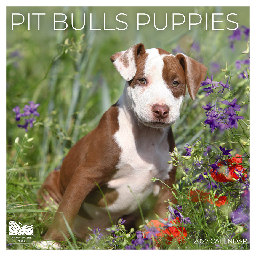 '27 Wall Calendar - Pit Bulls Puppies
