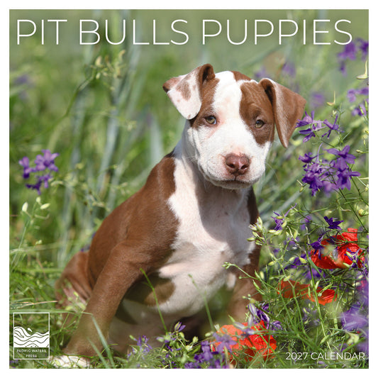 '27 Wall Calendar - Pit Bulls Puppies