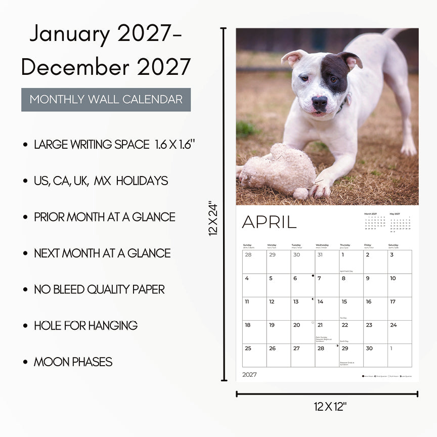 '27 Wall Calendar - Pit Bulls Puppies