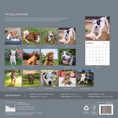 '27 Wall Calendar - Pit Bulls Puppies
