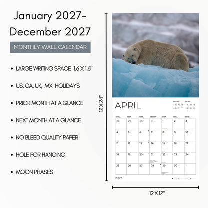 '27 Wall Calendar - Polar Bears