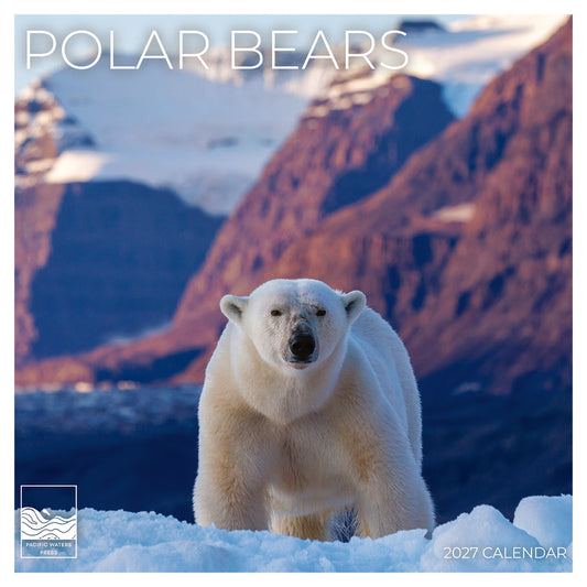 '27 Wall Calendar - Polar Bears