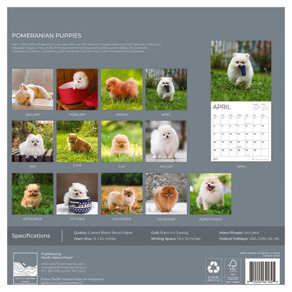 '27 Wall Calendar - Pomeranian Puppies
