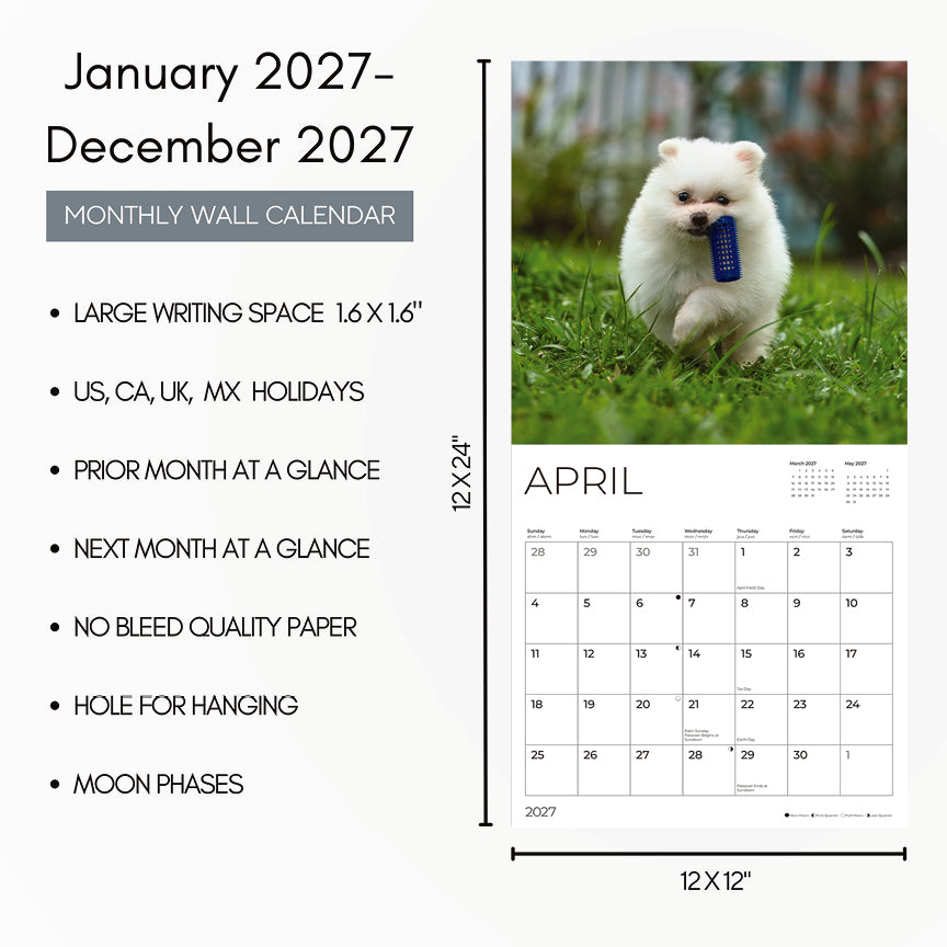 '27 Wall Calendar - Pomeranian Puppies