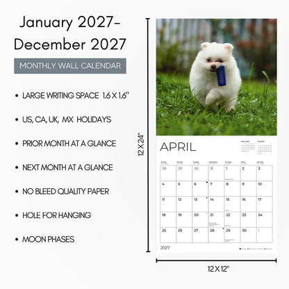 '27 Wall Calendar - Pomeranian Puppies