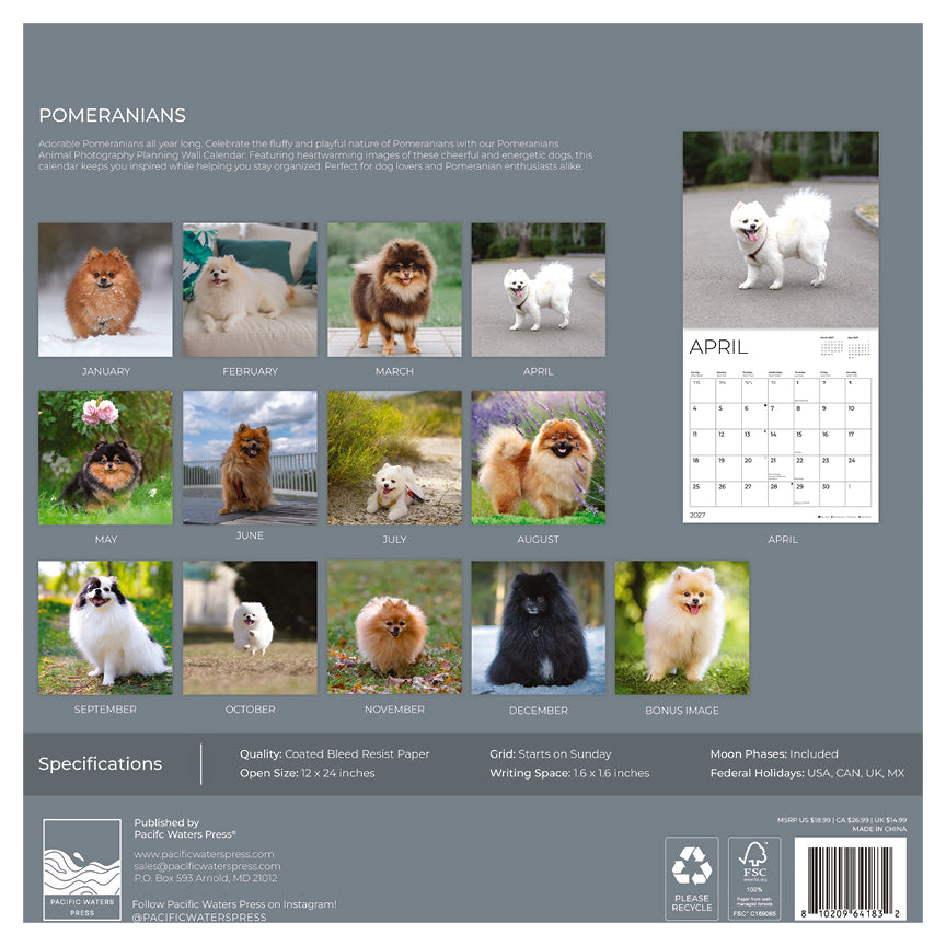'27 Wall Calendar - Pomeranians