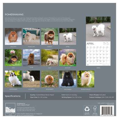 '27 Wall Calendar - Pomeranians