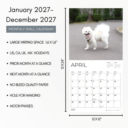 '27 Wall Calendar - Pomeranians