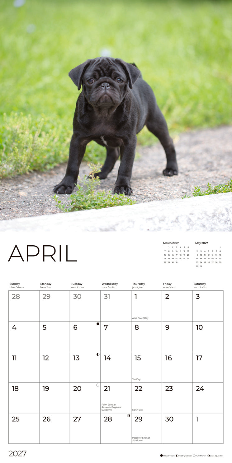 '27 Wall Calendar - Pug Puppies