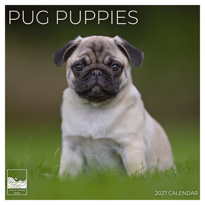 '27 Wall Calendar - Pug Puppies