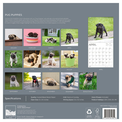 '27 Wall Calendar - Pug Puppies