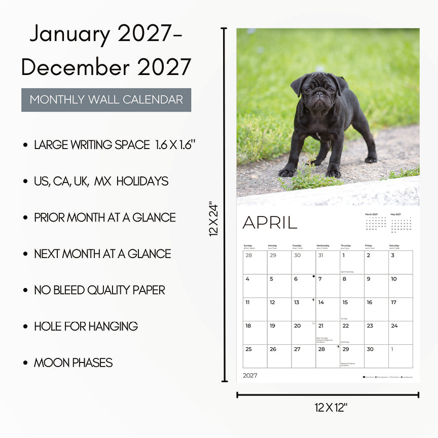 '27 Wall Calendar - Pug Puppies