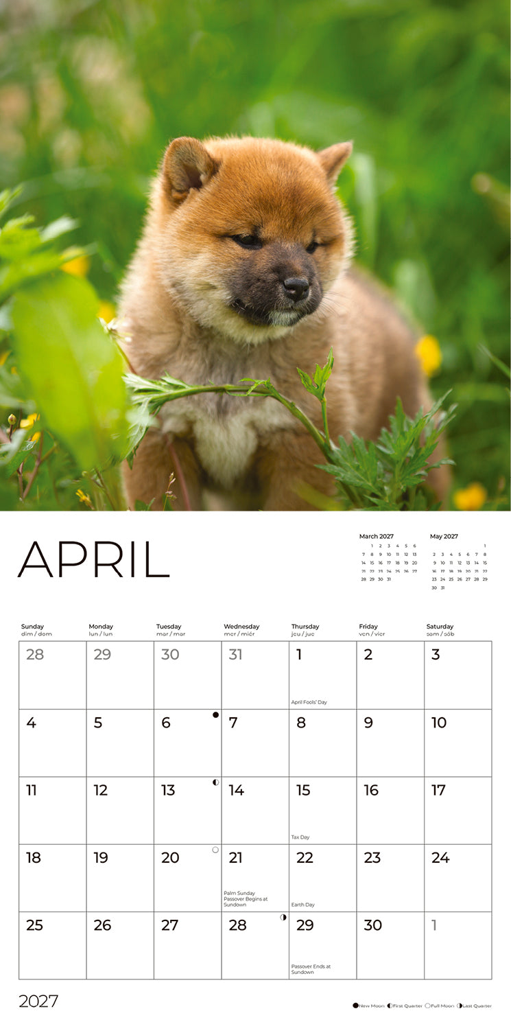 '27 Wall Calendar - Puppies