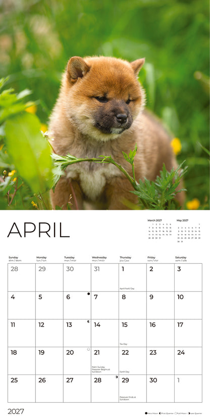 '27 Wall Calendar - Puppies