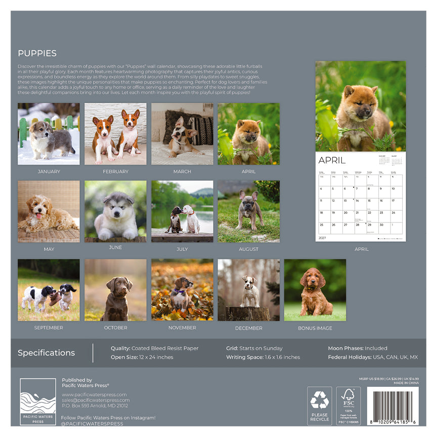 '27 Wall Calendar - Puppies
