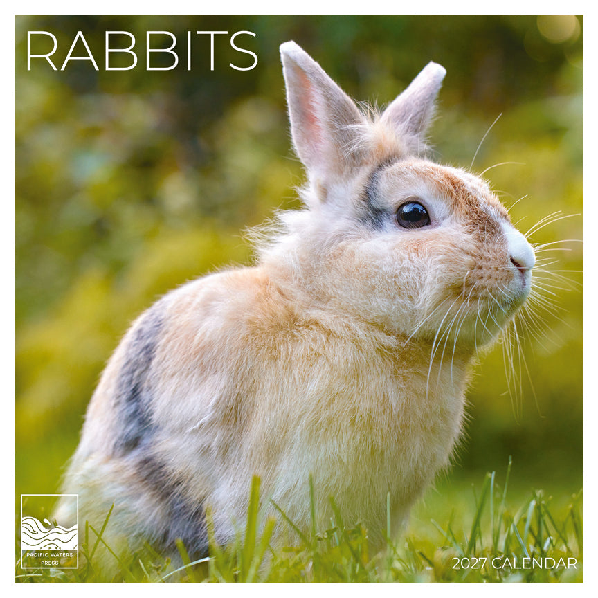 '27 Wall Calendar - Rabbits