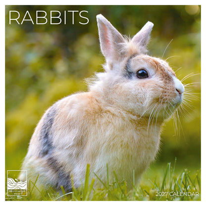 '27 Wall Calendar - Rabbits