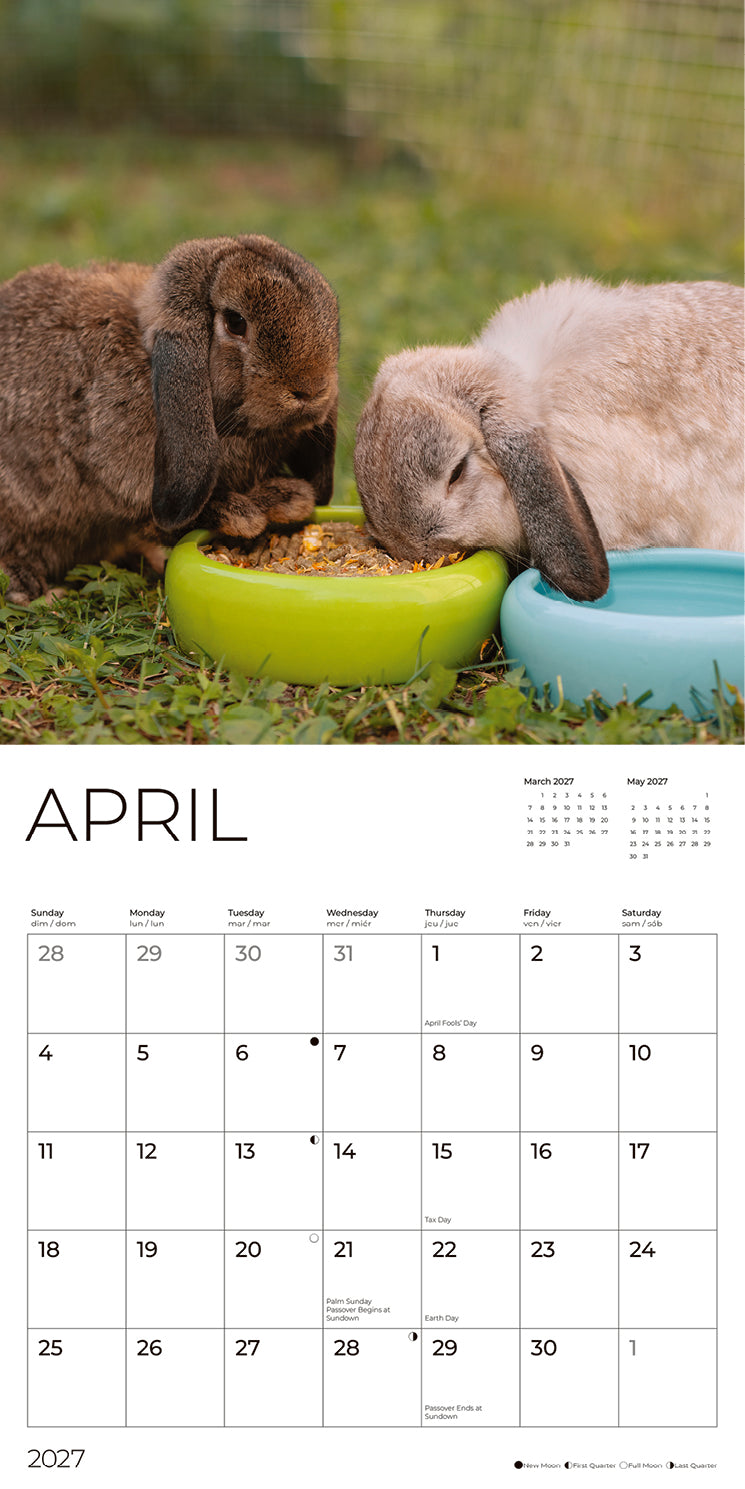 '27 Wall Calendar - Rabbits