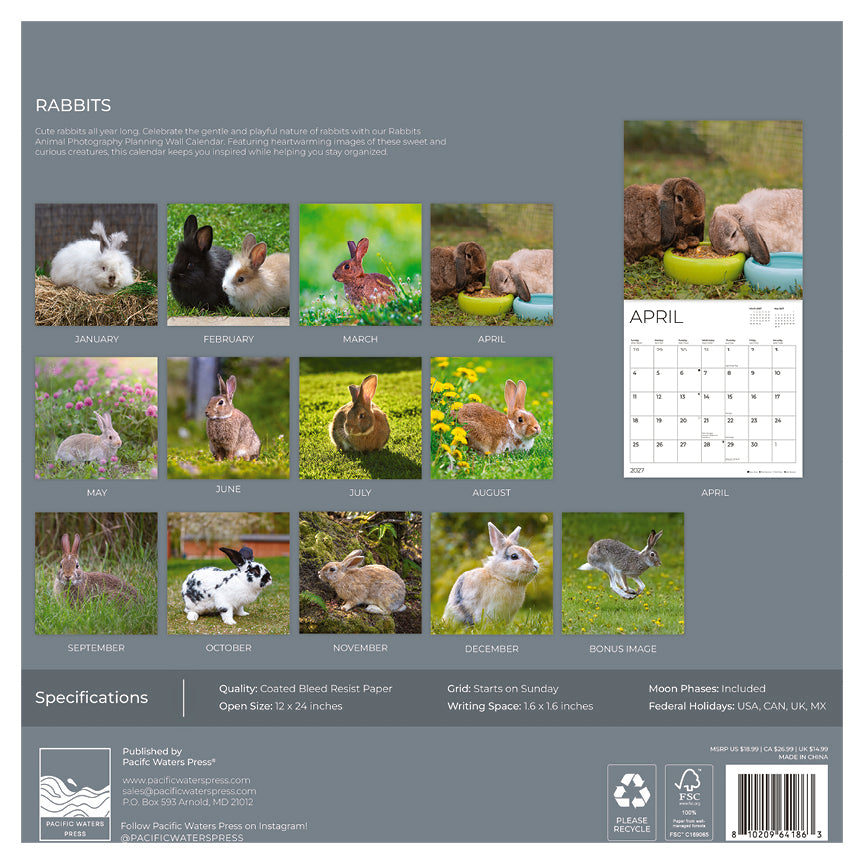 '27 Wall Calendar - Rabbits
