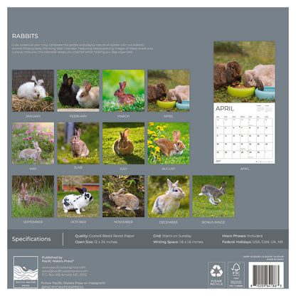 '27 Wall Calendar - Rabbits