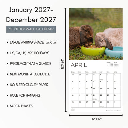 '27 Wall Calendar - Rabbits