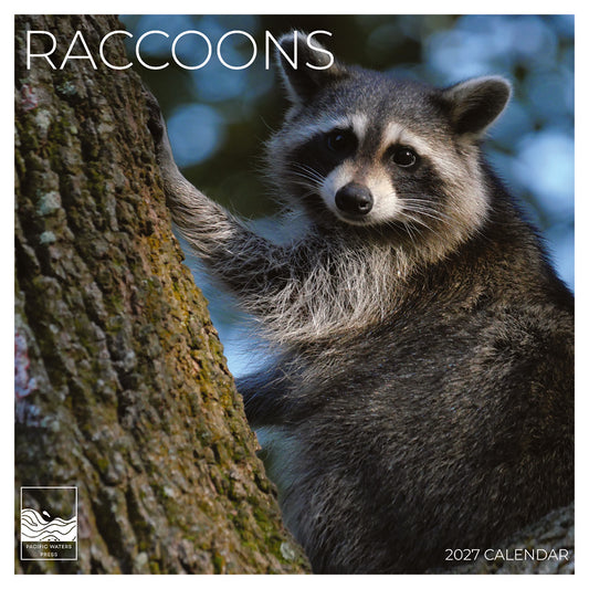 '27 Wall Calendar - Raccoons