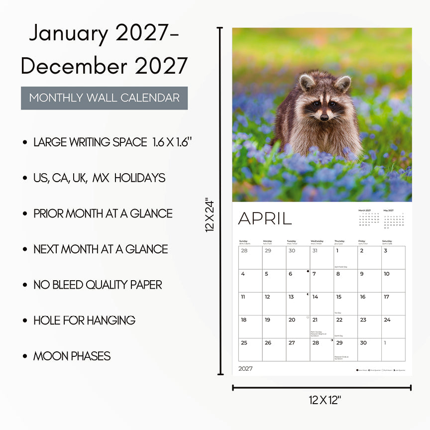'27 Wall Calendar - Raccoons