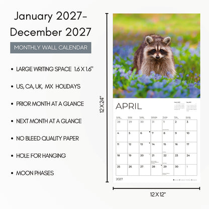 '27 Wall Calendar - Raccoons