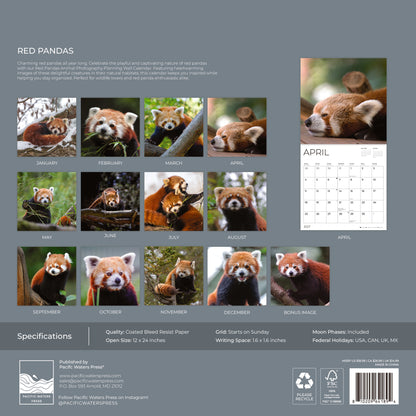 '27 Wall Calendar - Red Pandas
