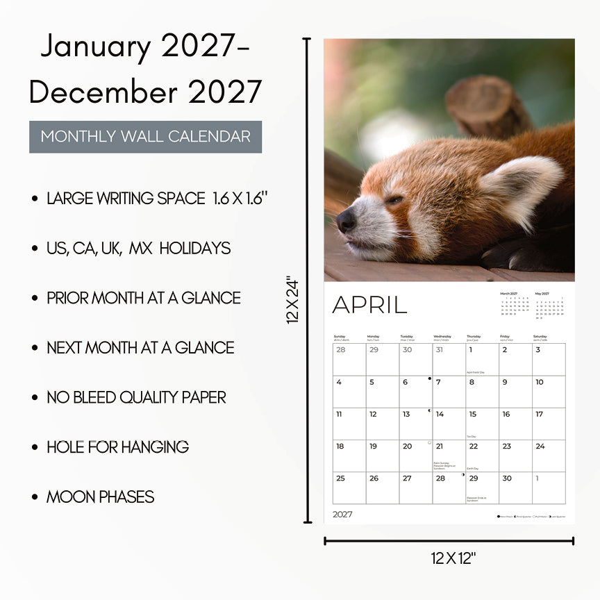 '27 Wall Calendar - Red Pandas